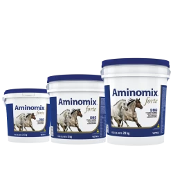 Aminomix® Forte