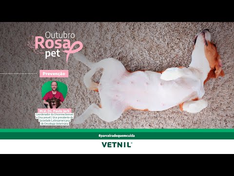 Outubro Rosa Pet – Tema Prevenção