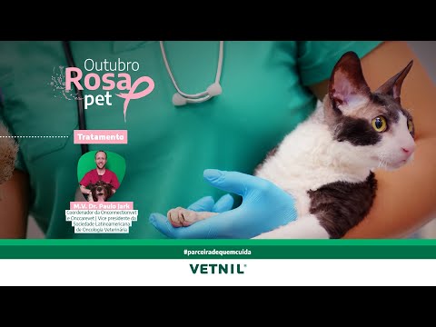 Outubro Rosa Pet – Tema Tratamento