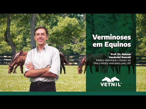 Verminoses em equinos - Videoaula com o Prof. Dr. Neimar Roncati