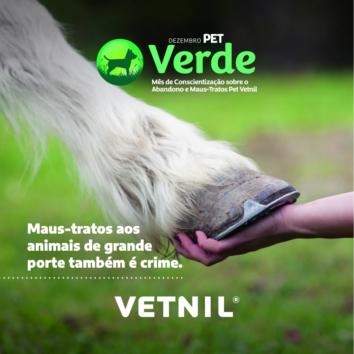 News Vetnil