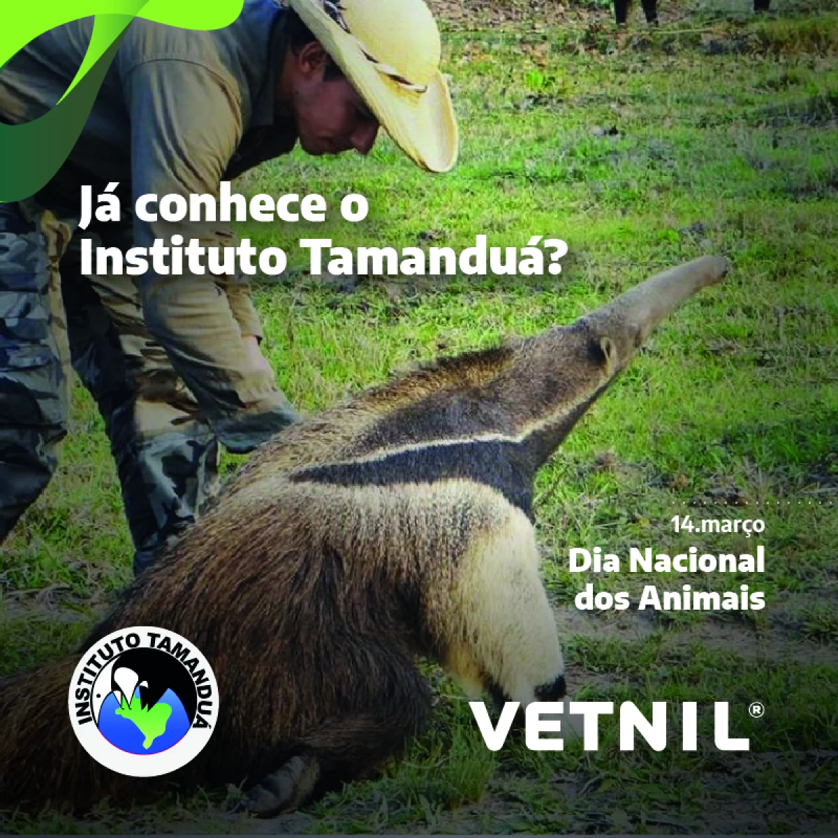 News Vetnil