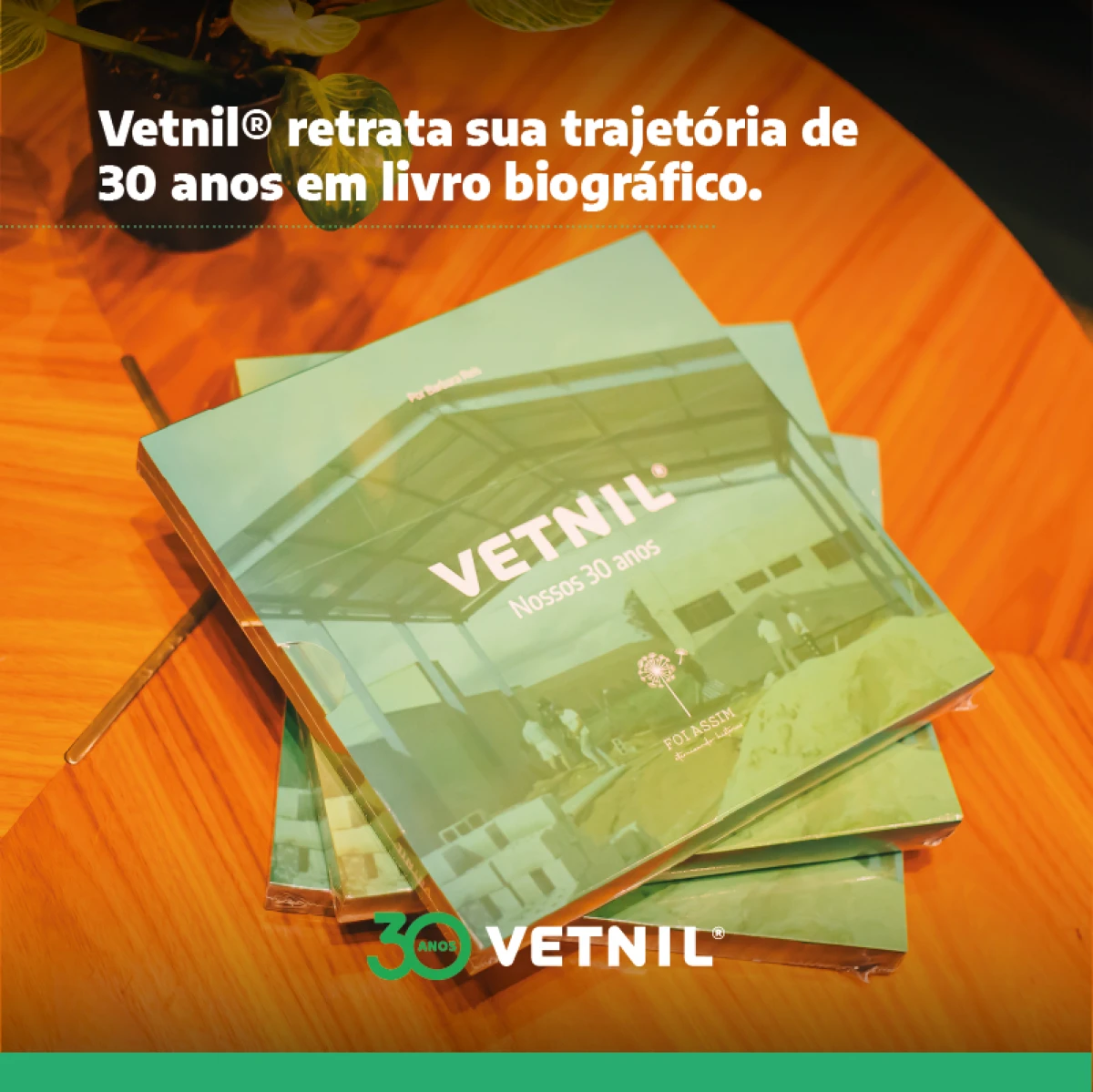 News Vetnil
