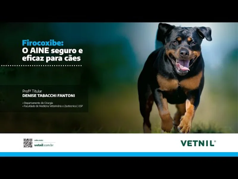 Videoaula “Firocoxibe: O AINE seguro e eficaz para cães”