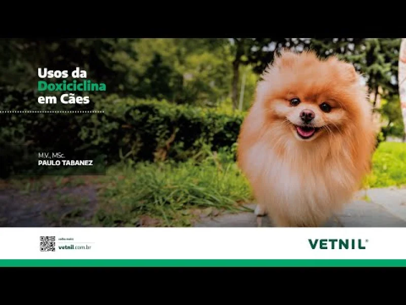 Videoaula “Usos da Doxiciclina em Cães”