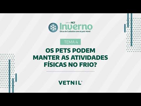 Junho Pet Inverno - Tema 4