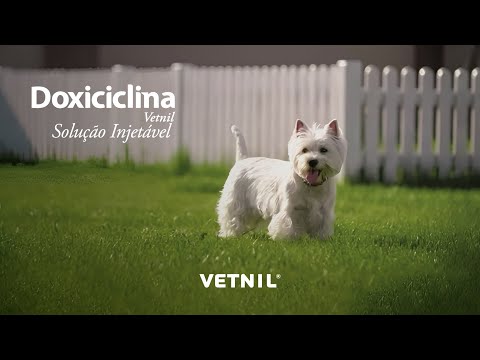 Doxiciclina Vetnil Solução Injetável