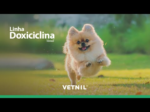 Linha Doxiciclina Vetnil
