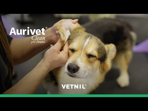 Aurivet® Clean pH Neutro