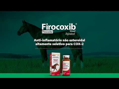 Firocoxib Vetnil® Injetável